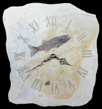 Tall Clock With Mioplosus Fish Fossil - Wyoming #50918