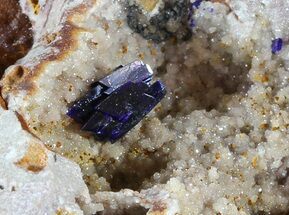 Azurite Crystals Cluster on Quartz - Morocco #49454