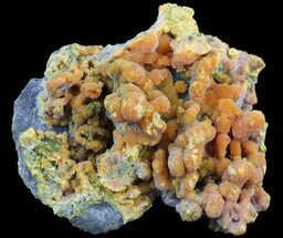 Orange Orpiment and Realgar - Melco Gold Mine, Utah #52393