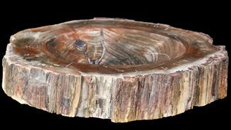 Colorful, Polished Madagascar Petrified Wood Dish - #53249