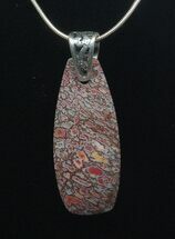 Agatized Dinosaur Bone (Gembone) Pendant #54077