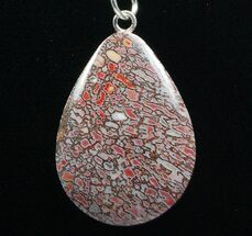 Pink Agatized Dinosaur Bone (Gembone) Teardrop Pendant #54087