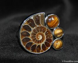 Ammonite Ring #649