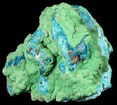Botryoidal Malachite & Blue Chrysocolla - Congo #54995
