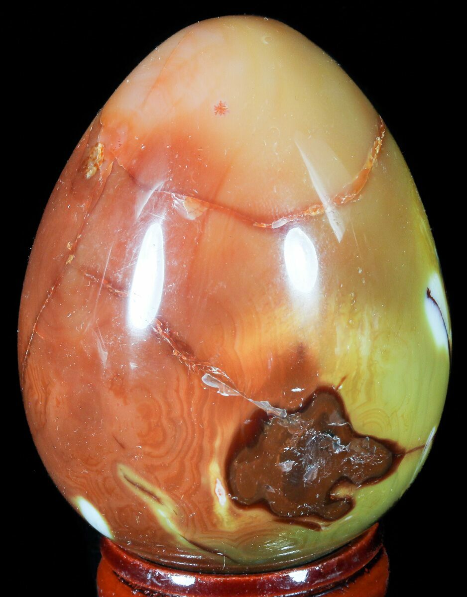 2.6" Colorful Carnelian Agate Egg For Sale (55540)
