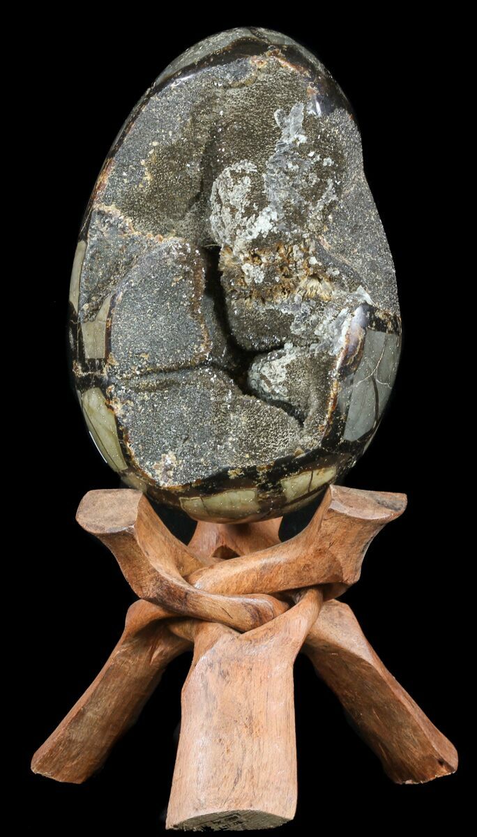 7" Septarian "Dragon Egg" Geode Black Crystals (55492) For Sale