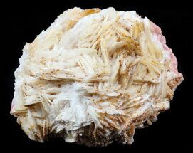 Small Vanadinite Crystals on Bladed Barite - Morocco #57265