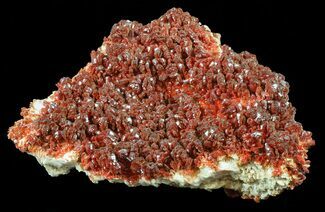 Huge Plate Of Ruby Red Vanadinite Crystals - Wide #59958