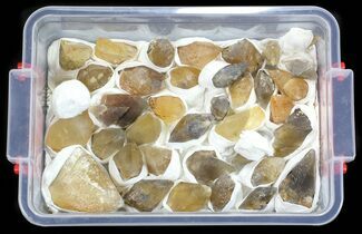 Dogtooth Calcite Crystals Wholesale Flat - Pieces #60063