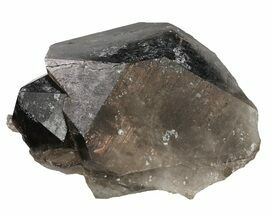 Large, Smoky Quartz Crystal - Brazil #61237