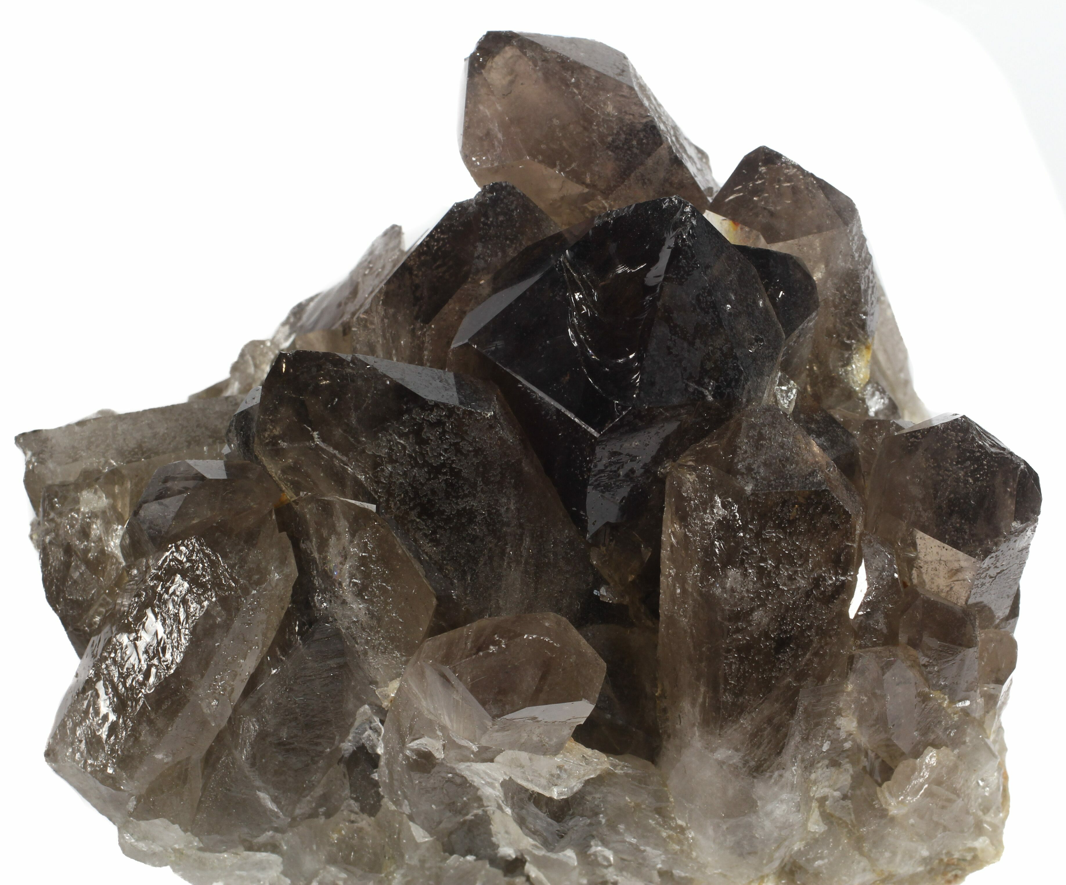 4.5 Dark Smoky Quartz Cluster - Large Crystals (Special Price) (#61498)  For Sale 