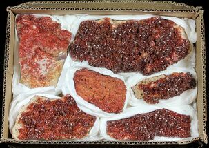 Flat: Ruby Red Vanadinite Crystals on Barite - Pieces #61633