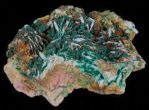 Malachite Crystals on Barite - Morocco #61754