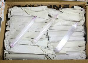 Polished Selenite Wands Wholesale Lot - Pieces #61894