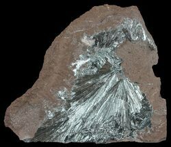 Metallic, Pyrolusite Crystals - Morocco #61130