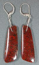Red Agatized Dinosaur Bone Earrings #5252