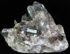 Dark Smoky Quartz Cluster - Large Crystals #60925