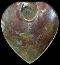 Colorful, Heart Shaped Fossil Goniatite Dish #62480