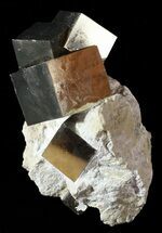 Tall, Natural Pyrite Cube In Rock - Navajun, Spain #63214