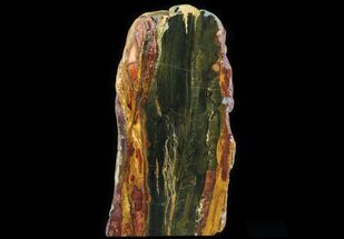 Marra Mamba Stromatolite Section ( lbs - Billion Years Old #64788
