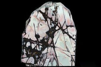 Polished, Free-Standing Outback Jasper - Reduced Price #64789