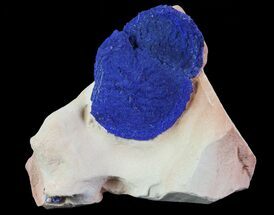 Brilliant Blue Azurite Suns On Kaolinitic Sandstone - Australia #64282