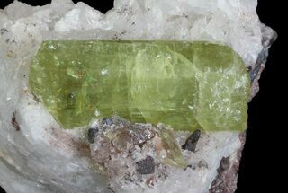 Apatite Crystals with Magnetite & Quartz - Durango, Mexico #64026