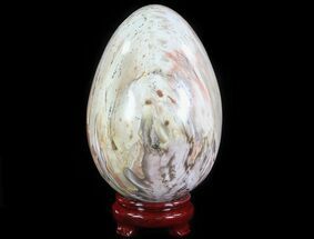 Polished Petrified Wood Egg #51690