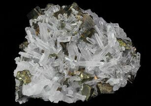 Gleaming Pyrite & Chalcopyrite with Quartz Crystals - Peru #66502