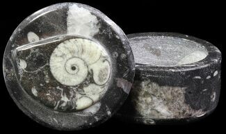 Small Fossil Goniatite Heart Jar (Brown) - Stoneware #66611