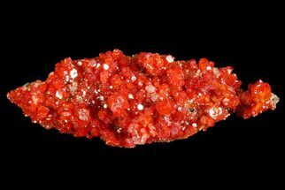 Vibrant Red Vanadinite Crystals on Matrix - Arizona #69211
