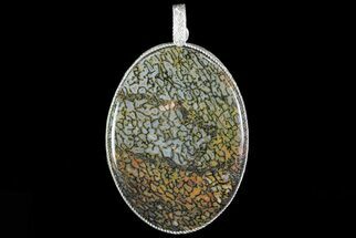 Agatized Dinosaur Bone (Gembone) Pendant - Sterling Silver #69948