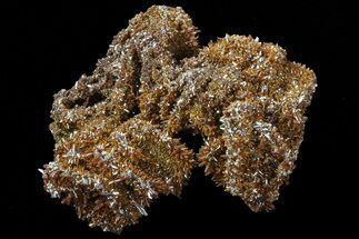 Prismatic Wulfenite Crystal Cluster - Mexico #67738