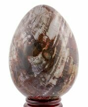 Polished Petrified Wood Egg - Colorful #51692