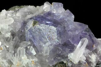 Purple Fluorite Crystals with Quartz - Mexico #71950
