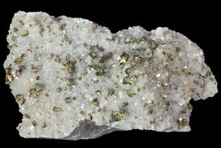 Chalcopyrite & Dolomite Crystal Cluster - Missouri #73845