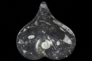 Heart Shaped Fossil Goniatite Dish #73765