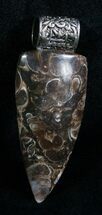 Fossil Turritella/Snail Pendant #5957