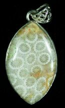 Fossil Coral Pendant - Sterling Silver #6013