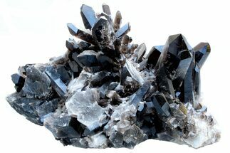 Natural Smoky Quartz Crystal Cluster ( lbs) - Brazil #78116