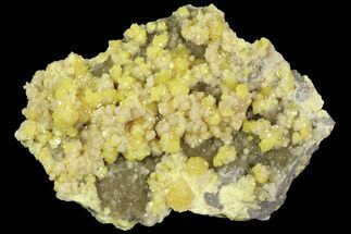 Sparkling Sulfur & Calcite Crystals - Poland #79234