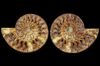 Cut/Polished Ammonite Pair - Crystal Filled Chambers #79145