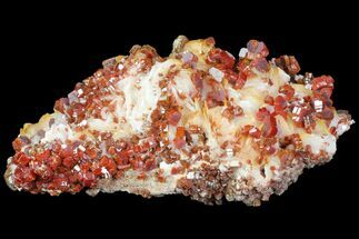Ruby Red Vanadinite Crystals on Pink/Orange Barite - Morocco #80526