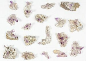 Lot: Veracruz Amethyst Clusters - Pieces #80628