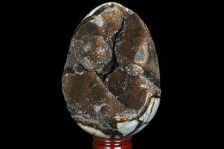 Septarian Dragon Egg Geode - Sparkly Black Crystals #81351