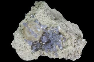 Purple/Gray Fluorite Cluster - Marblehead Quarry Ohio #81184