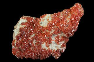 Ruby Red Vanadinite Crystals On Dolomite - Morocco #82369
