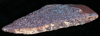 Agatized Dinosaur Bone Chunk (Polished) #6428