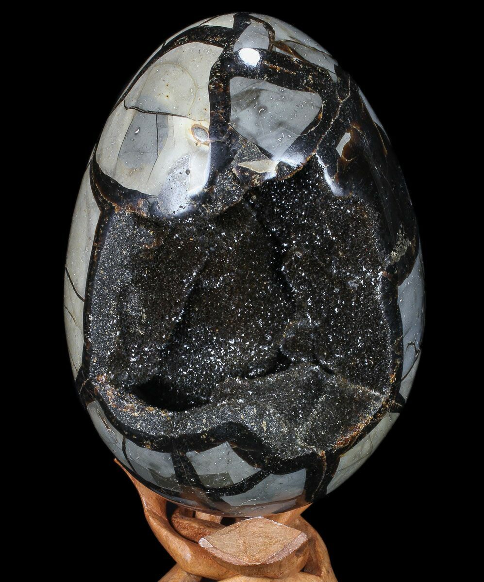 7" Septarian "Dragon Egg" Geode Black Crystals For Sale (88164