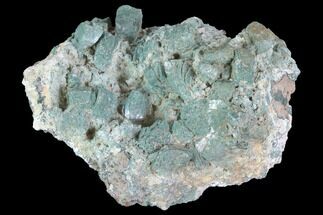 Green Heulandite Crystal Cluster - India #91318
